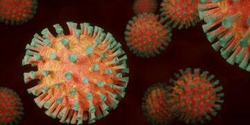 CIENTÍFICOS DEL CONICET CONTRIBUYEN A DEVELAR EL ORIGEN DE LAS PATOLOGÍAS ASOCIADAS AL CORONAVIRUS