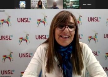 DEBATIERON SOBRE LAS ESTRATEGIAS PARA ENFRENTAR EL POST CONFINAMIENTO