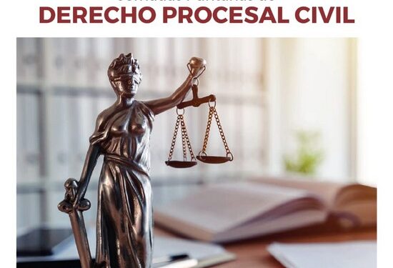 JORNADAS PUNTANAS DE DERECHO PROCESAL CIVIL