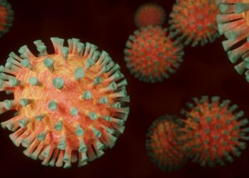 CIENTÍFICOS DEL CONICET CONTRIBUYEN A DEVELAR EL ORIGEN DE LAS PATOLOGÍAS ASOCIADAS AL CORONAVIRUS