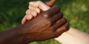 SEIS UNIVERSIDADES SE UNEN PARA COMBATIR EL RACISMO EN LA EDUCACIÓN