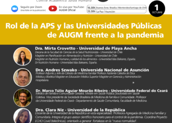 SEGUNDO SEMINARIO WEB DE ATENCIÓN PRIMARIA EN SALUD