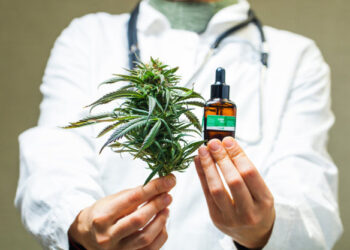 SE REALIZÓ UNA JORNADA ABIERTA Y VIRTUAL SOBRE CANNABIS MEDICINAL EN SAN LUIS