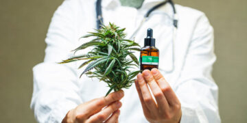 SE REALIZÓ UNA JORNADA ABIERTA Y VIRTUAL SOBRE CANNABIS MEDICINAL EN SAN LUIS