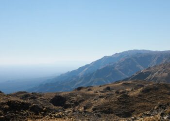 ¿QUÉ HACE UN LICENCIADO EN CIENCIAS AMBIENTALES?