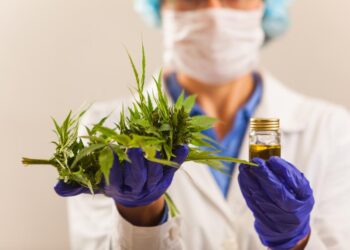 SE APROBÓ LA NUEVA REGLAMENTACIÓN DE LA LEY DE CANNABIS MEDICINAL