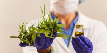 SE APROBÓ LA NUEVA REGLAMENTACIÓN DE LA LEY DE CANNABIS MEDICINAL