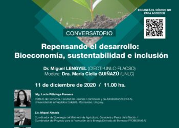 REPENSANDO EL DESARROLLO: BIOECONOMÍA, SUSTENTABILIDAD E INCLUSIÓN