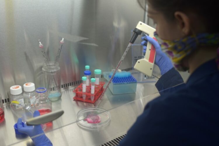 PROTEÍNAS PARA USO BIOTECNOLÓGICO CONTRA COVID-19