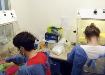 Autorizan un test de detección de coronavirus realizado por investigadores de la UBA más ágil y a menor costo