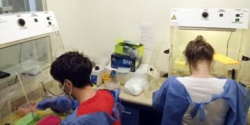 Autorizan un test de detección de coronavirus realizado por investigadores de la UBA más ágil y a menor costo