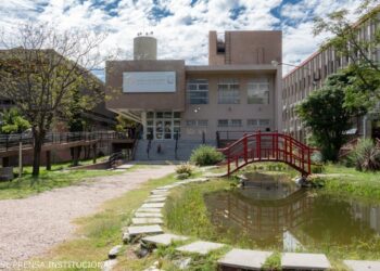 CREARÁN EL REPOSITORIO INSTITUCIONAL DE LA UNSL