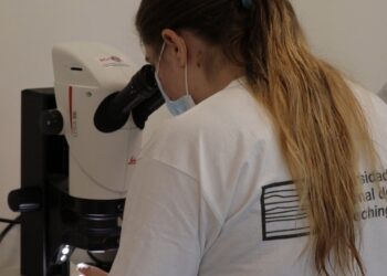 UNLC: EL 30 DE ABRIL CIERRAN LAS INSCRIPCIONES PARA LAS BECAS PROGRESAR Y MANUEL BELGRANO