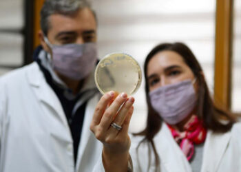 CONICET: PROPONEN REUTILIZAR DESECHOS DE LA PRODUCCIÓN DE QUESOS