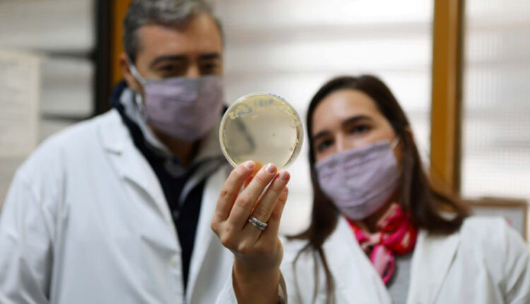 CONICET: PROPONEN REUTILIZAR DESECHOS DE LA PRODUCCIÓN DE QUESOS