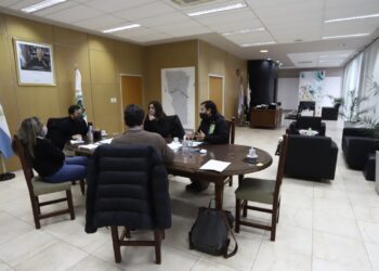 REUNIÓN ENTRE LA ASOCIACIÓN DE PROFESIONALES DEL SECTOR PÚBLICO Y EL MINISTERIO DE PRODUCCIÓN