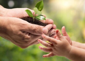 LA UNSL LANZA EL PROGRAMA INSTITUCIONAL TRANSDISCIPLINARIO SOCIOAMBIENTAL