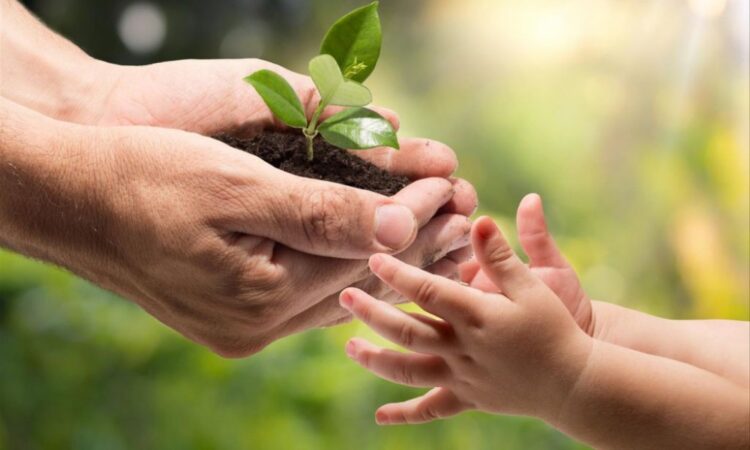 LA UNSL LANZA EL PROGRAMA INSTITUCIONAL TRANSDISCIPLINARIO SOCIOAMBIENTAL