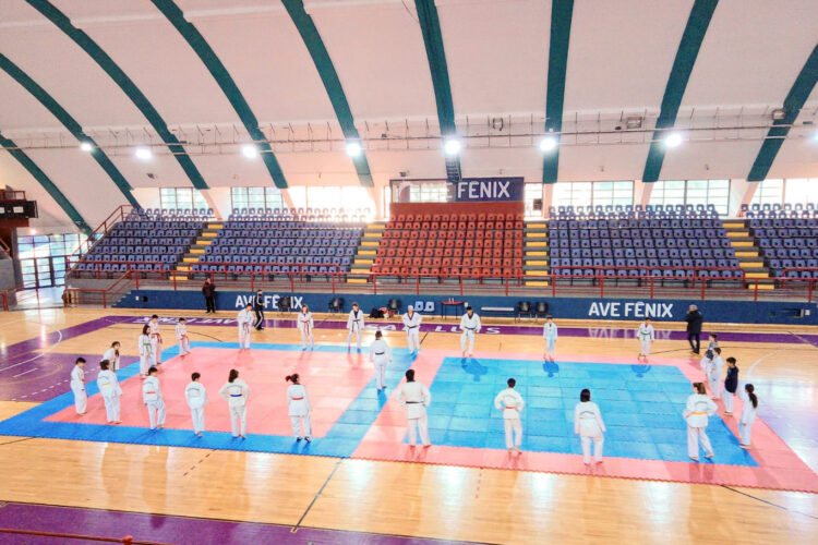 TAEKWONDO: DEPORTISTAS DEL CAMPUS ULP SE PERFECCIONAN