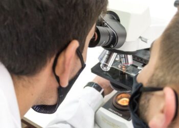 UNSL: CONVOCAN A PARTICIPAR DEL PROGRAMA «IMPACT.AR CIENCIA Y TECNOLOGÍA»