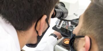 UNSL: CONVOCAN A PARTICIPAR DEL PROGRAMA «IMPACT.AR CIENCIA Y TECNOLOGÍA»