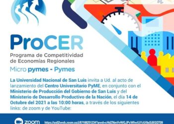 LA UNSL LANZARÁ EL CENTRO UNIVERSITARIO PYME