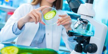 UNSL: APROBARON LA CREACIÓN DE LA LICENCIATURA EN BROMATOLOGÍA