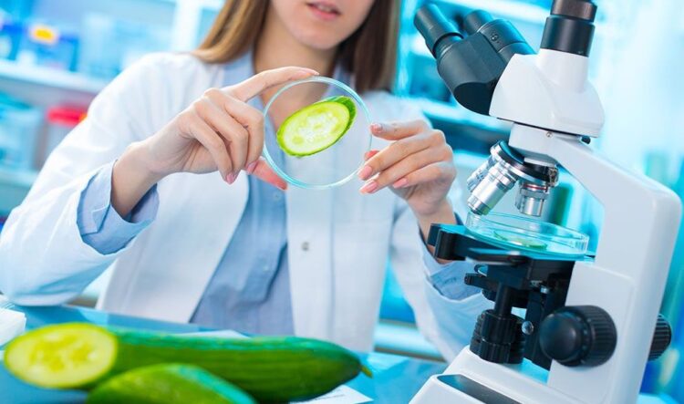 UNSL: APROBARON LA CREACIÓN DE LA LICENCIATURA EN BROMATOLOGÍA