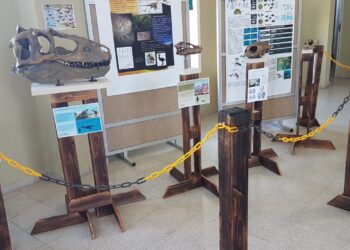 UNLC: LAS OBRAS DE LAS Y LOS ESTUDIANTES PRESENTES EN LA MUESTRA IMAGÍNATE 2021