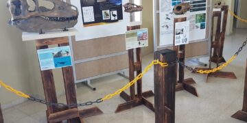 UNLC: LAS OBRAS DE LAS Y LOS ESTUDIANTES PRESENTES EN LA MUESTRA IMAGÍNATE 2021