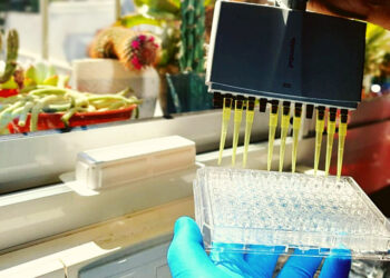 CONICET: LA HISTORIA DE INMUNOCOVITUC,UN TEST QUE TUVO GRANDES RESULTADOS