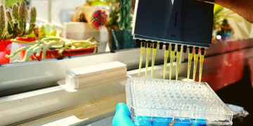CONICET: LA HISTORIA DE INMUNOCOVITUC,UN TEST QUE TUVO GRANDES RESULTADOS