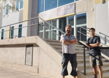 CONICET: DESCRIBEN EL FUNCIONAMIENTO DE UNA PROTEÍNA CLAVE PARA LA SINAPSIS NEURONAL