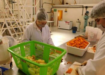 UNSL: PRODUCEN 300 KG DE GUISO VEGETAL DESHIDRATADO QUE SERÁ DONADO A UN COMEDOR