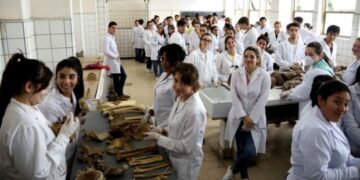 LE INICIARON UN SUMARIO A UN DOCENTE POR DAR UNA CLASE PRESENCIAL EN MEDICINA Y RENUNCIÓ
