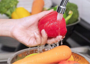 PROYECTO DE LA UNSL PROMUEVE LA ALIMENTACIÓN SALUDABLE EN BARRIOS PERIFÉRICOS