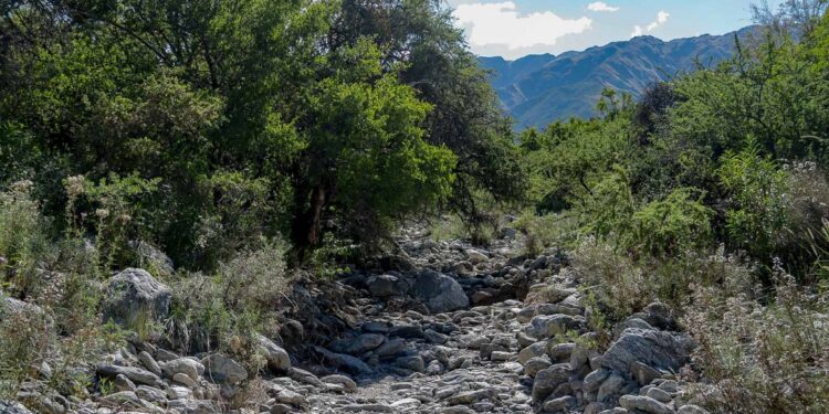 DOCENTES DE LA UNLC INVITAN A PARTICIPAR DEL TALLER “LA OBSERVACIÓN DE LA NATURALEZA DESDE UNA MIRADA ARTÍSTICA”