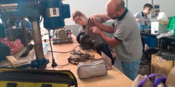 UNSL: DESDE UN PROYECTO APUNTAN A GENERAR VOCACIONES SOSTENIBLES