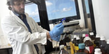 IMPORTANTE FINANCIAMIENTO A UN LABORATORIO DE LA UNLP QUE INVESTIGA UN TIPO DE EPILEPSIA