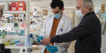CONICET: LOGRAN OPTIMIZAR EN ENSAYOS IN VIVO UNA TERAPIA DISPONIBLE PARA TRATAR LA ATROFIA MUSCULAR ESPINAL
