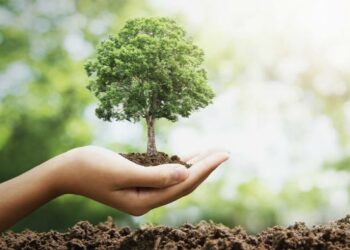 LA UNIVERSIDAD DE LA PUNTA Y EL MINISTERIO DE CIENCIA Y TECNOLOGÍA PLANTARÁN 13.000 ÁRBOLES