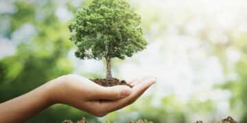 LA UNIVERSIDAD DE LA PUNTA Y EL MINISTERIO DE CIENCIA Y TECNOLOGÍA PLANTARÁN 13.000 ÁRBOLES