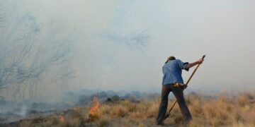 USO DEL FUEGO Y QUEMAS PRESCRIPTAS: LA UNLC BRINDARÁ UNA CHARLA A LA COMUNIDAD UNIVERSITARIA