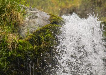 PARTICIPACIÓN DE LA UNLC EN EL ENCUENTRO “LOS RETOS PARA GARANTIZAR EL DERECHO HUMANO AL AGUA”