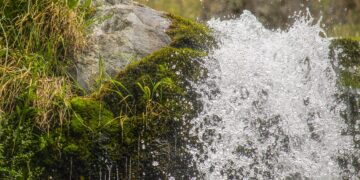PARTICIPACIÓN DE LA UNLC EN EL ENCUENTRO “LOS RETOS PARA GARANTIZAR EL DERECHO HUMANO AL AGUA”
