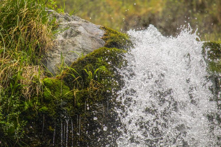 PARTICIPACIÓN DE LA UNLC EN EL ENCUENTRO “LOS RETOS PARA GARANTIZAR EL DERECHO HUMANO AL AGUA”