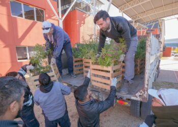EL PLAN “MÁS ÁRBOLES, MÁS VIDA” LLEGÓ A LA ULP