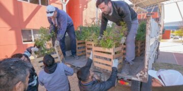 EL PLAN “MÁS ÁRBOLES, MÁS VIDA” LLEGÓ A LA ULP