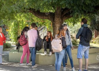 LA UNSL COLABORÓ EN LA CREACIÓN DE NUEVOS DISEÑOS CURRICULARES DEL NIVEL SECUNDARIO