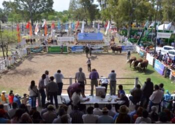 INTENSOS PREPARATIVOS PARA LA GRAN FIESTA DE LA 75° EXPO RURAL SAN LUIS